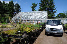 Victorian Glasshouse