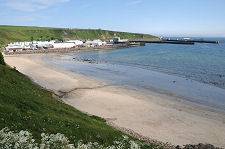 Scrabster from the South