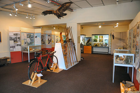 Rear Exhibition Area, Complete with Golden Eagle