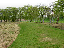 The Bank Outside the Moat