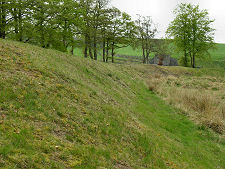 The Inside Face of the Bank