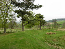 Bank on the West Side of the Peel