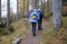 Path to the Viewpoint