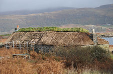 Rear View of the Cottage