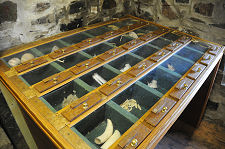 Display of Objects Found on Ulva