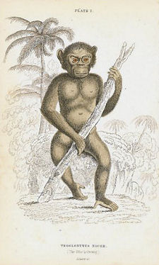 Illustration from "The Naturalists Library"