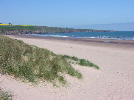 Lunan Bay, Angus