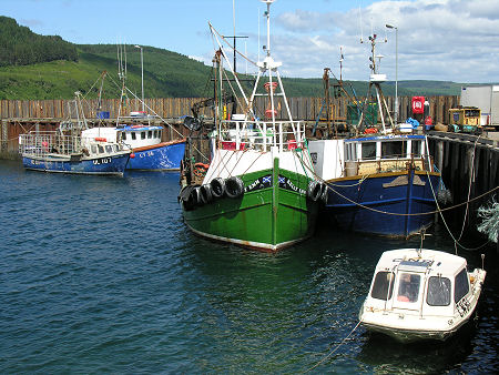 Carradale Harbour