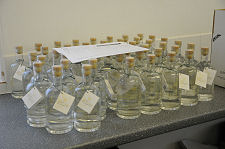Bottled Spirit at Glenglasshaugh