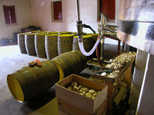 Benromach Distillery