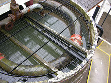 Inside the Worm, Dallas Dhu