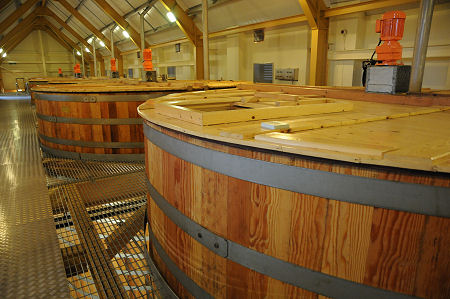 New Wooden Washbacks at Glenlivet