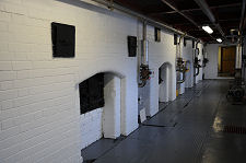 Coal-Fired Stills, Glendronach