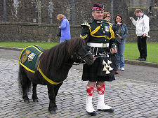 Regimental Mascot, Stirling Castle