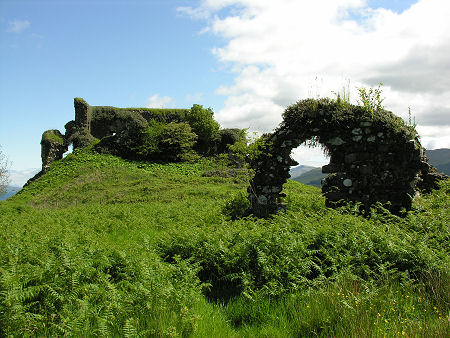 Bracken and Tall Vegetation: An Excellent Hiding Place for Ticks