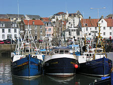Pittenweem Harbour