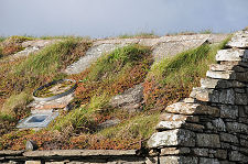 Turf and Flasgtone Roof