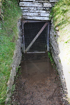 Entrance, and Puddle