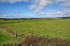 A View of the Airfield