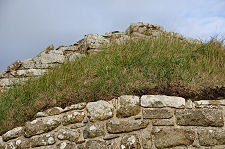 Turf Roof of Apse