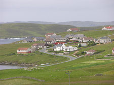 Modern Housing, Hamister