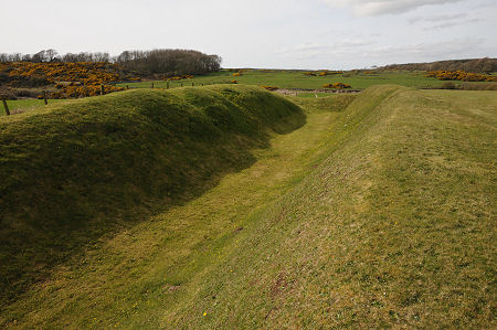 The South-West Ditch and Banks