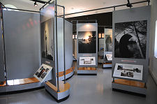 More of the Exhibition