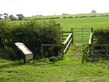 Bridge Over the Stream