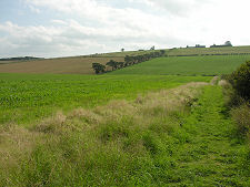 Reverse of the Header View