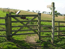 Gateway on the Trail