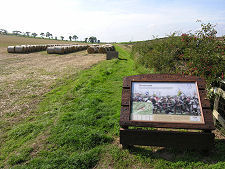 Where James IV Was Killed