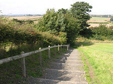 Steps Up from the Car Park