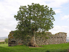 Barmkin from the South